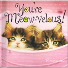 You're Meow-velous By Rachael Hale